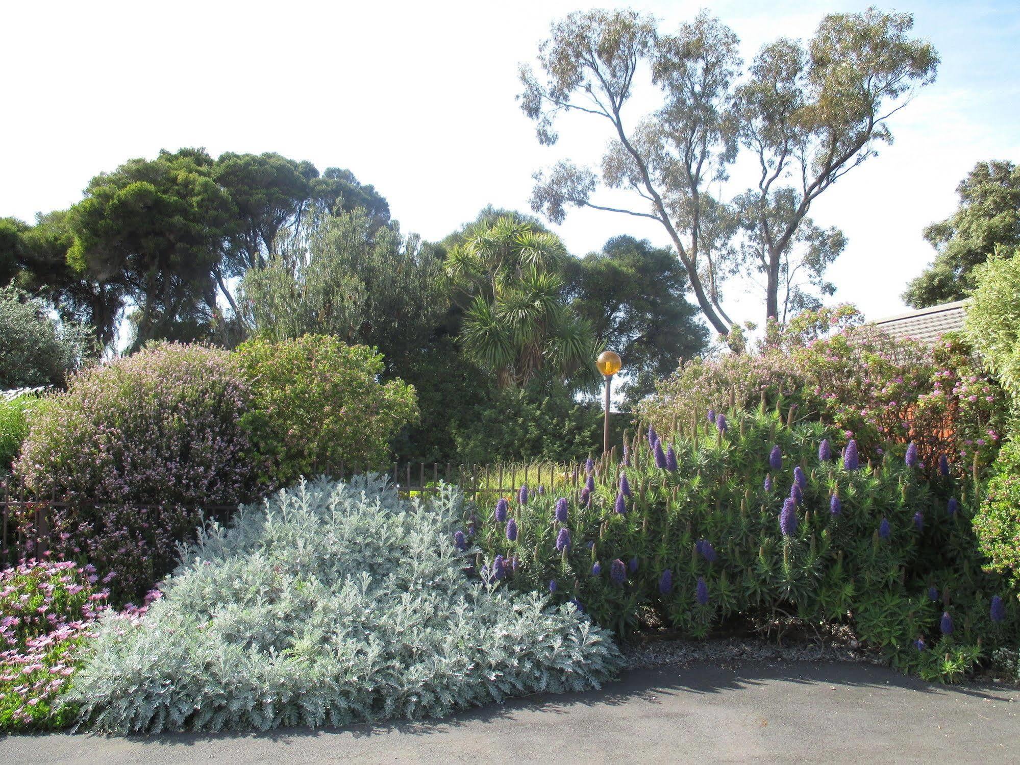 Motel Warrnambool Exterior foto